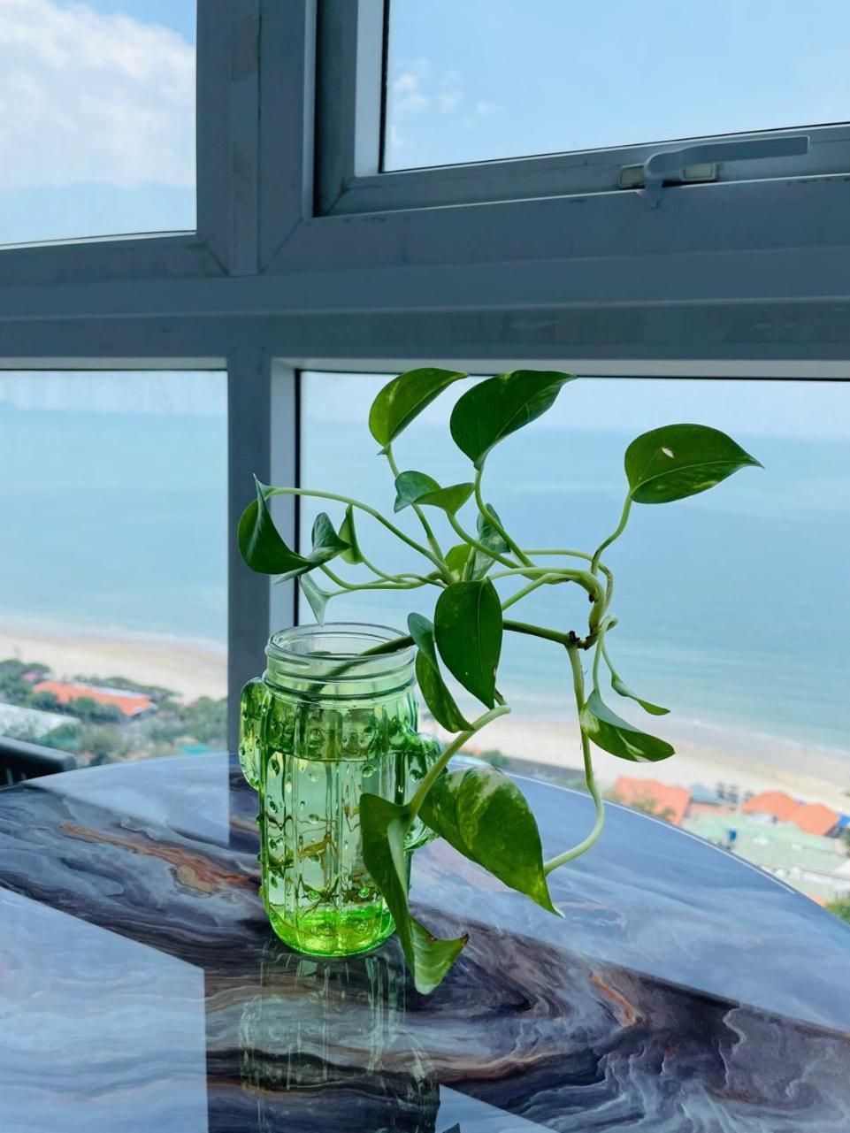 Can Ho Oasky Canh Bien Bai Sau Vũng Tàu Exteriér fotografie